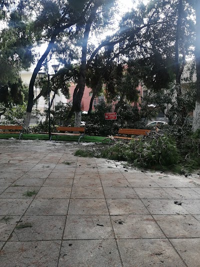 Φωτογραφία